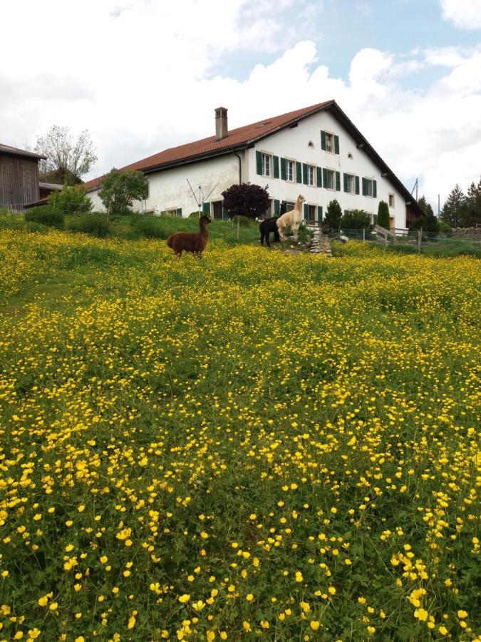 Ferme O'Cles Apartment Le Peuchapatte Luaran gambar